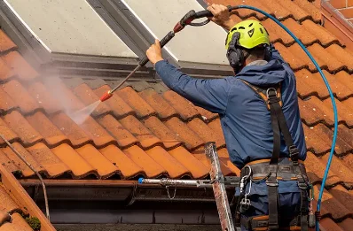 Démoussage et hydrofuge de toiture à Chalampé